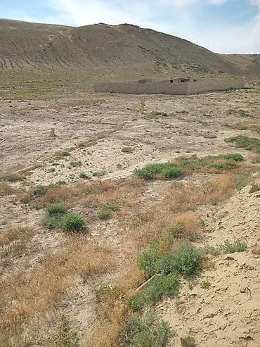 basavik satisi: 5 sot — 2