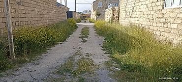 torpaq bine: Tikinti — 1
