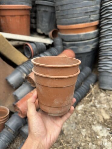 1 eded qizil gul qiymeti: Tecili satılır . Balaca qablar 0.25 qəpik Qırmızı balaca qab 0.40 — 3