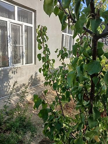 sagan kiraye evler: 60 kv. m, 3 otaqlı, İşıq — 3