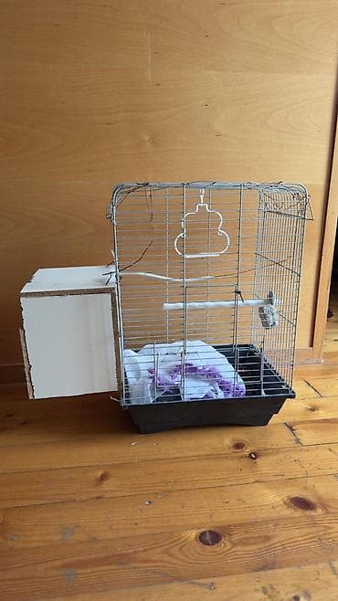 bulbul qefesi: Quş qəfəsi və yuvalıq dəsti - Material: metal barmaqlıqlar, plastik — 2