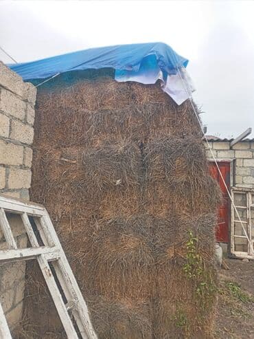 QAZ: Quru ot (saman) topası Məhsul təsviri: - Quru ot balyaları yığılıb — 1