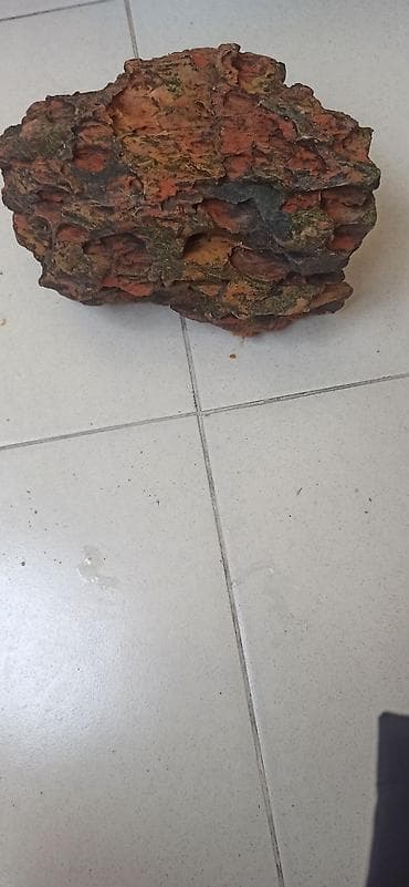 akvarium bitkileri: Akvaryum dekoru – təbii görünüşlü əlin içindən böyükdür - Material — 1