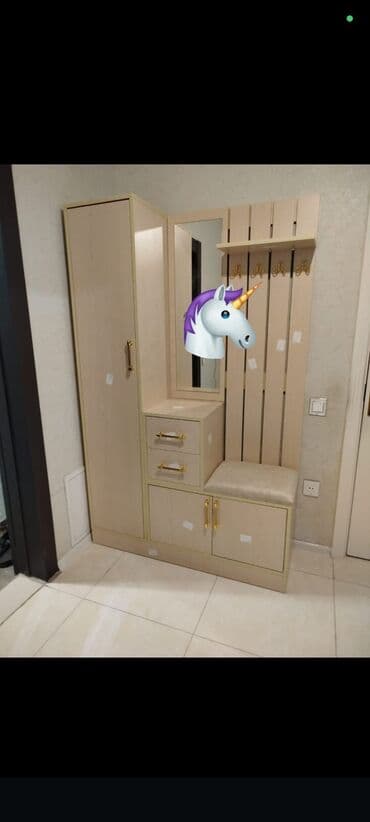 qara qarayev tibb kurslari: Yeni, Düz dolab, Dəhliz dolabı — 1