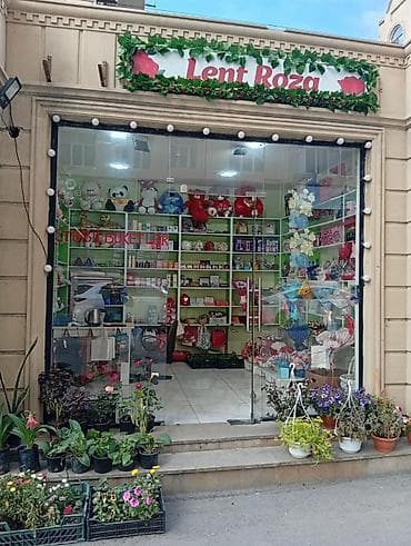 Lent Roza – gül və hədiyyə məhsulları mağazası, Icareye verilir. 16kv lalafo.az -da Lent Roza – gül və hədiyyə məhsulları mağazası, Icareye verilir. 16kv