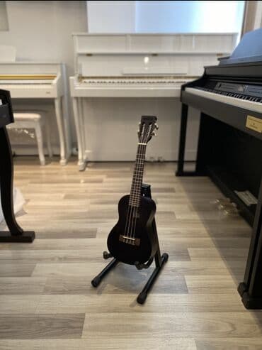 soprano titanium: Ukulele, Yeni — 1