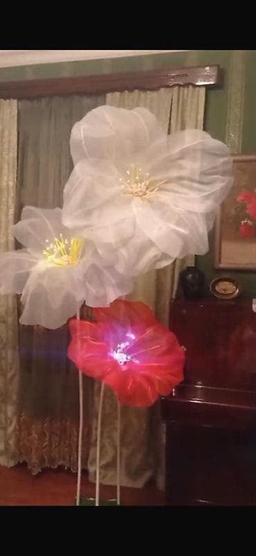 lavanta gülü: İşıqlı dekorativ nəhəng güllər kompozisiyası Öz əl işimdir birfən çox — 1