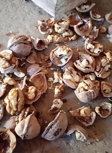 Qarışığ qozdu 250 300 kilo olar isdiyən buyursun sonu 3.50 m