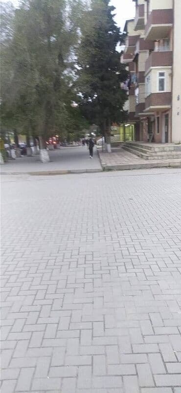 icare kafe: Sumqayıt şəhərində 174 kv əraziyə malik olan obyekt icarəyə verilir — 6