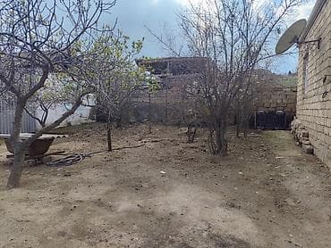 2 sot, Maklerlər narahat etməsin