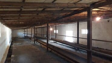 nerimanovda obyekt satilir: Suraxanı rayonu, Bahar qəsəbəsi, Süd zavodunun yanı, 12 sotda ümumi — 6