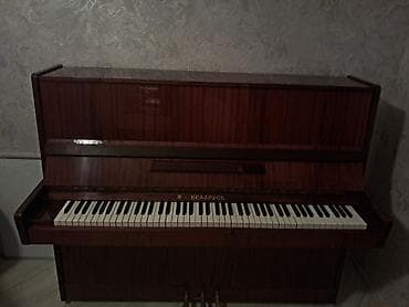 Piano, Belarus, Akustik, İşlənmiş, Ünvandan götürmə — 4