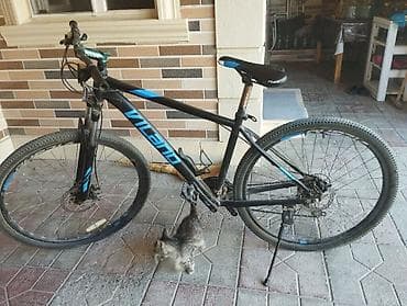 kohnə velosiped: Vilano dağ velosipedi - Çərçivə: yüngül alaşımlı, hardtail - — 1