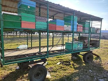 elektrikli moped satışı: Köçəri arıçılıq üçün mobil arı platforması/arıxana treyleri - Möhkəm — 1
