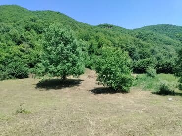 binə atçılıq torpaq: Для строительства, Собственник, Договор — 16