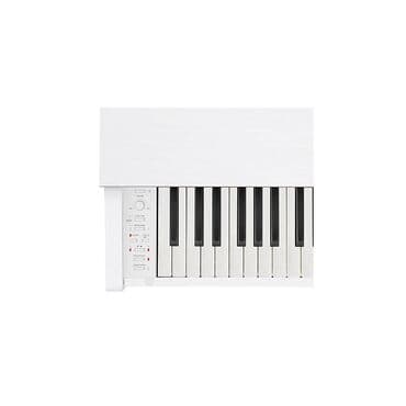 стул для пианино: Piano, Casio, Rəqəmsal, Yeni, Rayonlara çatdırılma, Ödənişli çatdırılma, Ünvandan götürmə — 2