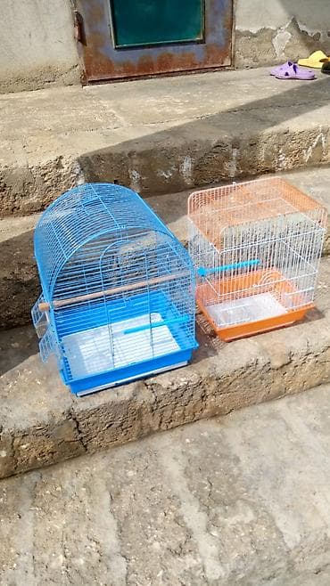 С/х животные и товары: Biri 20-25 en yekesi 50 azn Müxtəlif ölçü və formalarda quş qəfəsləri — 3