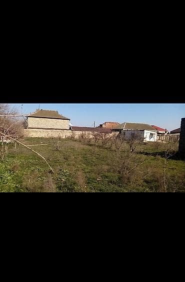 6 sot, Tikinti, Maklerlər narahat etməsin, Kupça (Çıxarış)