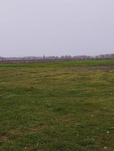 torpaq yeri: 500 sot, Kənd təsərrüfatı, Mülkiyyətçi, Kupça (Çıxarış), Bələdiyyə — 10