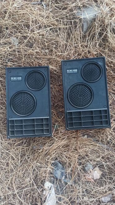 akustik sistem: Radiotehnika Kolonka, Növ - Akustik, rəng - Qara — 1