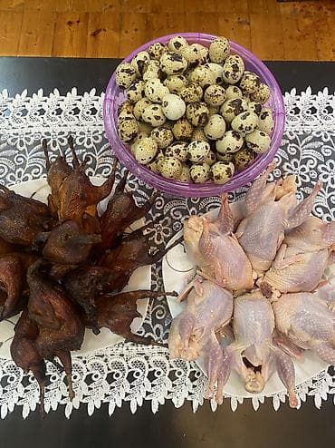 ala inek: 🔥 DİQQƏT! KEYFİYYƏTLİ BAKI BILDIRCİNƏLƏRİ SATIŞDA! 🔥 Təzə, sağlam və — 5