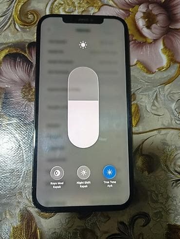 iphone x ikinci el: IPhone 12 Pro Max, 256 GB, Göy, Face ID — 5