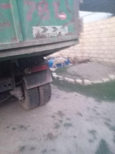 reno maşın: Satilir kamaz ili 87 bərdədi kamaz 10 00 mine deyilir istiyen olsa — 3