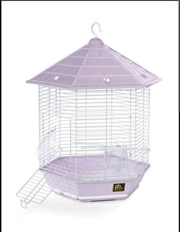 tutuquşu qəfəsi: Tutuquşu qəfəsi (papuqay qəfəsi) Evlərinizdə sevdiyiniz heyvanları — 5