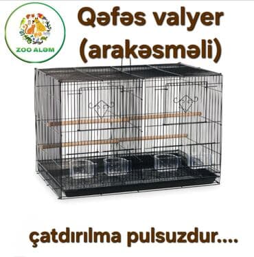 qəfəsi: Tutuquşu qəfəsi. Qəfəs valyer (arakəsməli) Qəfəsin ölçüsü 60sm eni — 2