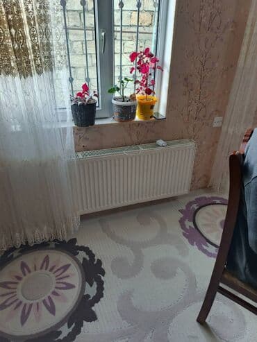 Qızdırıcı və isidicilər: Radiator — 1