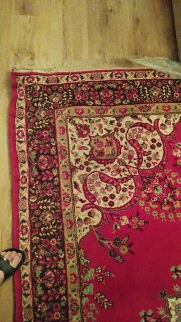 sarmaşıq gül: Xalça Dekorativ — 1