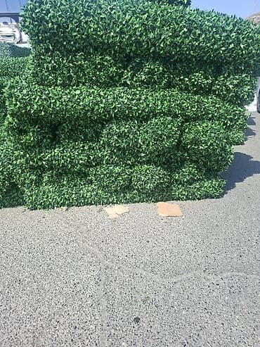 zabor: Məhsul: Süni yaşıl hasar panelləri (hedge/boxwood tipli dekorativ — 1