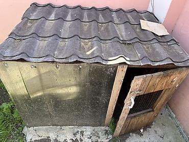 toyuq damı: Taxta toyuq/broyler kümesi - Material: taxta karkas, ön və yan — 2