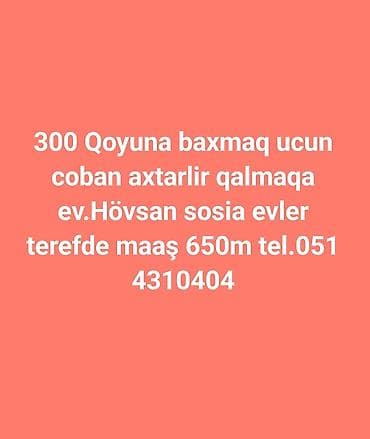 ozcan deniz konserti: Çoban, 55 yaş, 1 ildən az təcrübə — 1