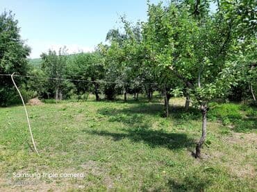 şabran torpaq: 10 sot, Tikinti, Mülkiyyətçi, Kupça (Çıxarış) — 6