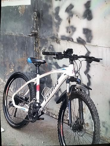 İdman/dağ velosipedi – ISMA Falcon - Çərçivə: yüngül alaşımlı, 29”