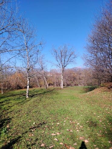 tecili ferma satilir: 12 sot, Mülkiyyətçi, Kupça (Çıxarış) — 2