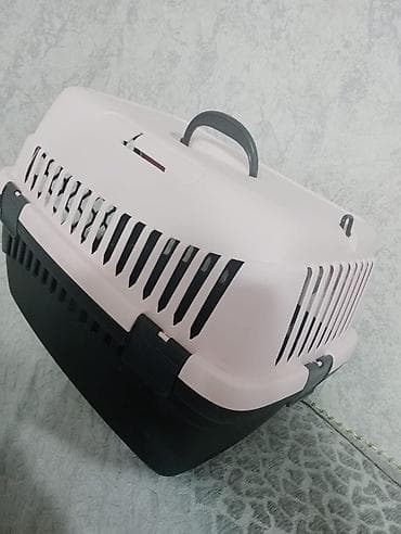 Кошки: It ve pisik ucun dawima cantasi.almaniyadan getizdirmiwik bir defe — 2