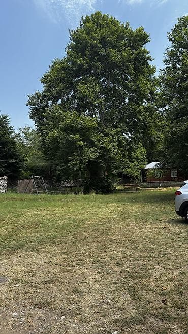xızı torpaq: 97 sot, Biznes üçün, Mülkiyyətçi, Kupça (Çıxarış), Bələdiyyə, Müqavilə — 6
