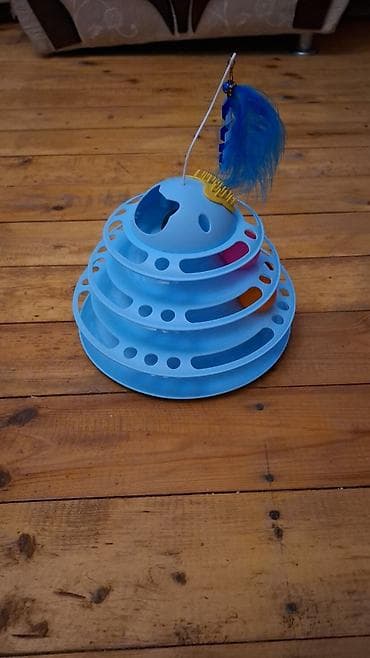 pisik qablari: Dişi — 5