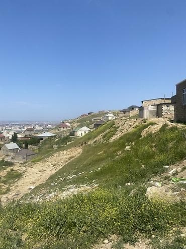 Tikinti
