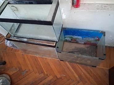 akvarium kompressor: 107,70(zavodskoy) və 40 Litrlik akvarium.Üstündə 1 ədəd LED işıq — 4