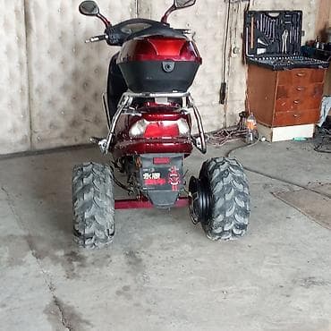 neon işıq: Elektrik skuter – off-road təkərli, baqaj qutulu - Korpusu tünd — 1