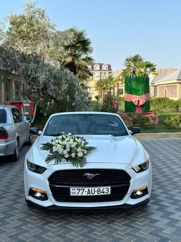 gence lenkeran avtobus: Toy, Nişan və digər tədbirlər üçün sifariş edə bilərsiz. ( Qiymət — 10