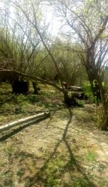 baki hovuzlu evler: 35 sot, Makler, Bələdiyyə — 2