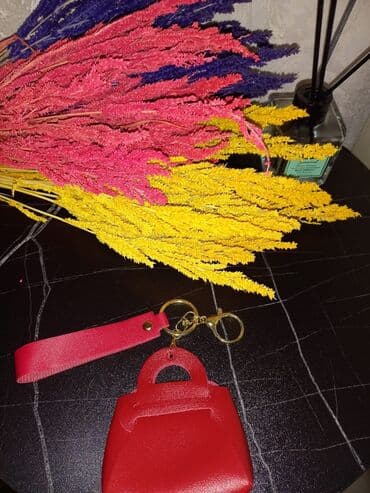 аксессуары для чихуахуа: Müxtəlif dizaynda açarlıq dəstləri Canta ucun ve a car ucun - Nəzər — 2