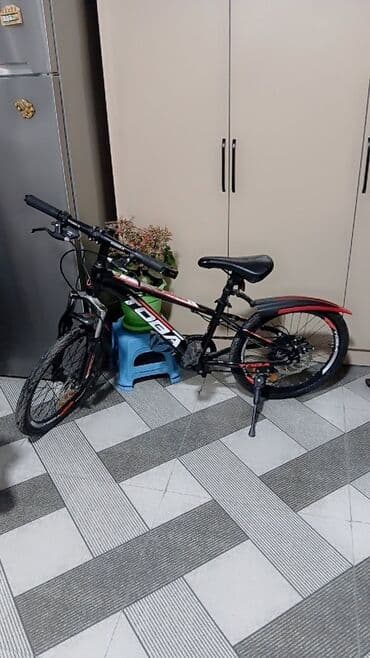 Nənnilər: İki təkərli Uşaq velosipedi Toba, 20" — 1