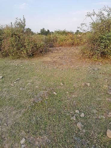 zigda torpaq qiymetleri: Tikinti — 3