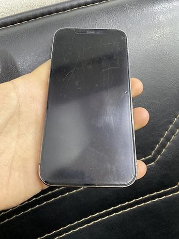 apple 12: IPhone 12 Pro, 256 GB, Gümüşü, Barmaq izi, Face ID — 3