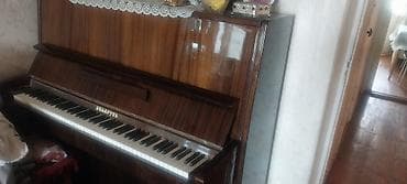 gitara akustik: Piano, Belarus, Akustik — 4